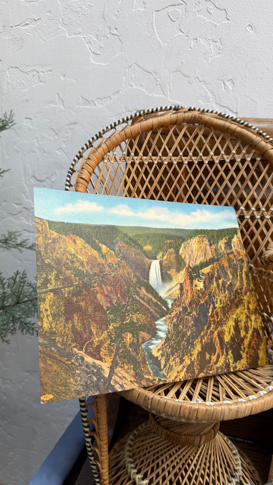 Vintage Yellowstone Postcards